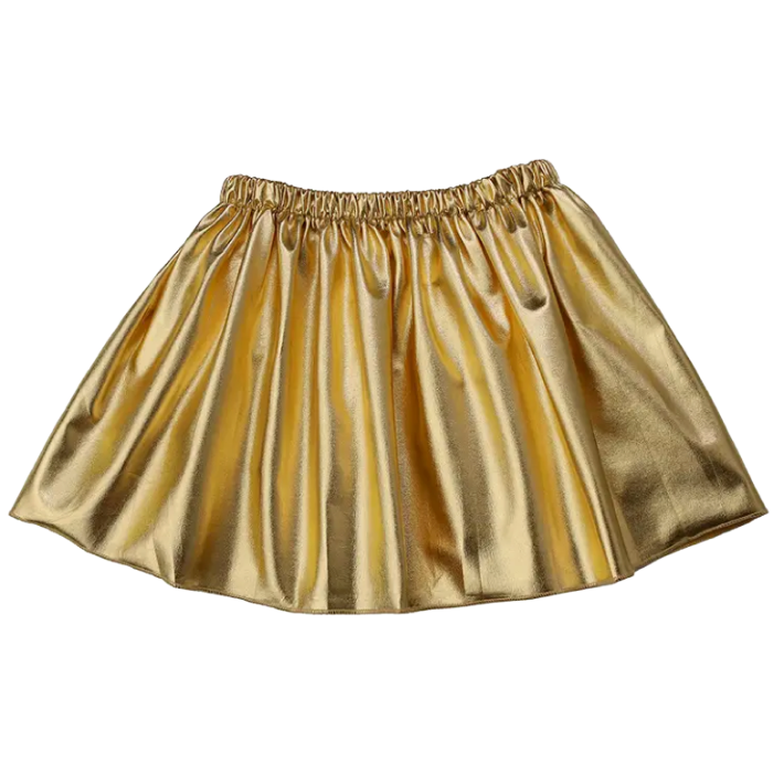 Shiny Metallic Skirt