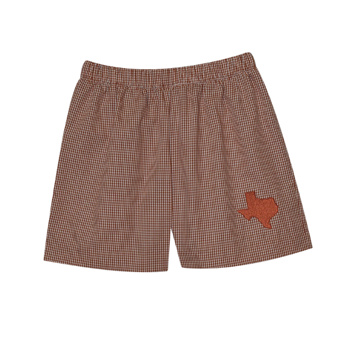 Boy's Gingham Shorts - Texas